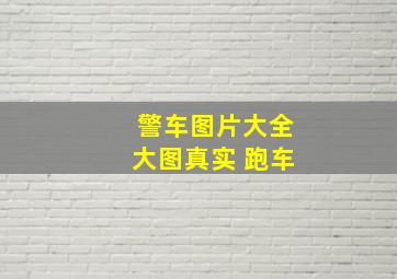 警车图片大全大图真实 跑车